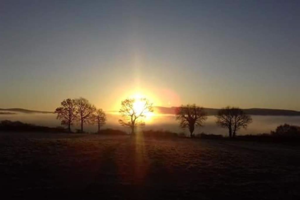 Perfect Cottage Retreat Near The Brecon Beacons Llanwrda Exteriér fotografie