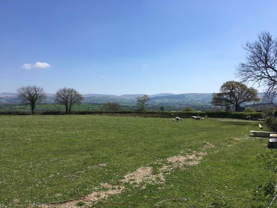 Perfect Cottage Retreat Near The Brecon Beacons Llanwrda Exteriér fotografie