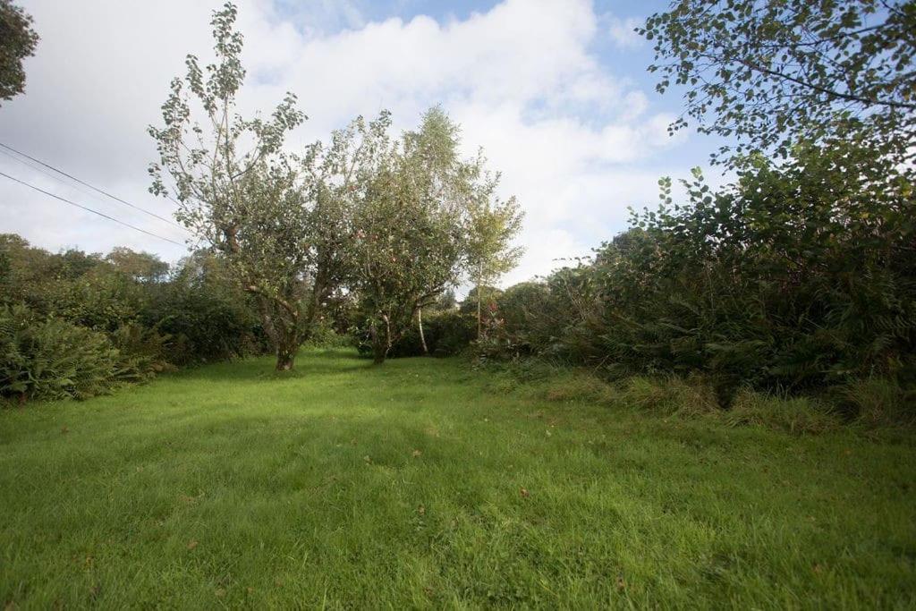 Perfect Cottage Retreat Near The Brecon Beacons Llanwrda Exteriér fotografie